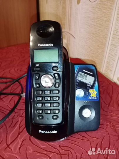 Panasonic