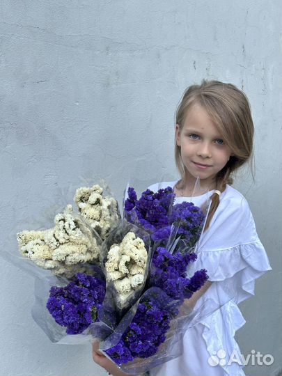 Статица стабилизироанная