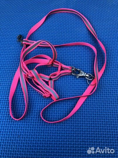Шлейки с поводками