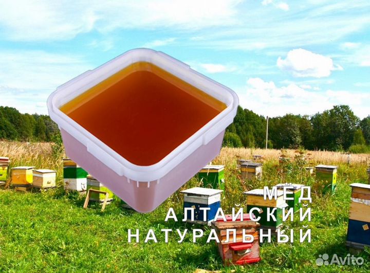 Мёд натуральный алтайский опт