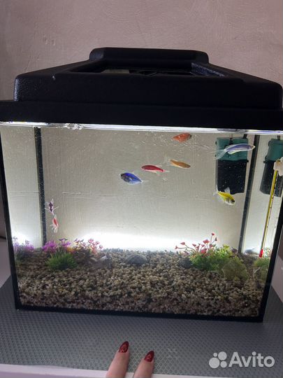 Аквариум