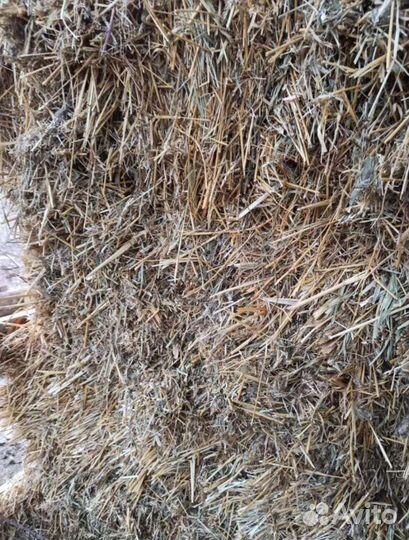 Сено солома в тюках