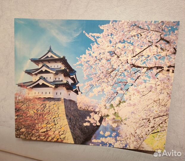 Картина цветущая сакура