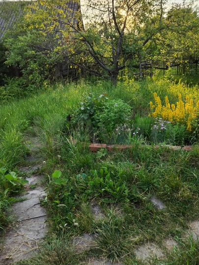 Участок 8,6 сот. (ИЖС)