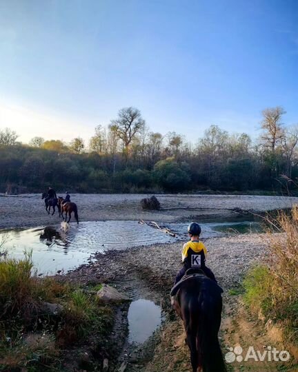 Конные прогулки в Мостовском