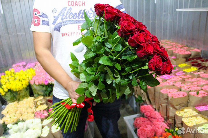 Розы 35 штук 70 см