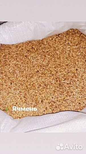 Комбикорм для животных