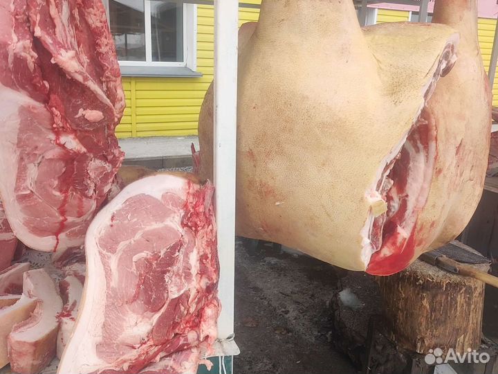 Мясо свинина домашняя не жирная