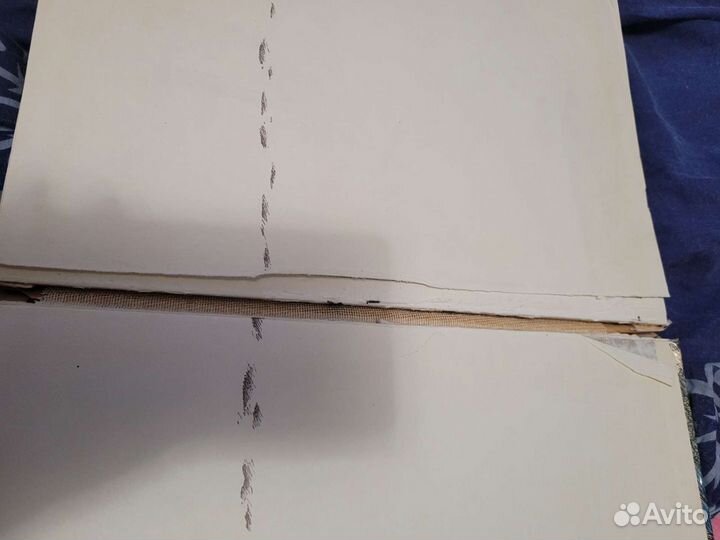 Винни-Пух 1989