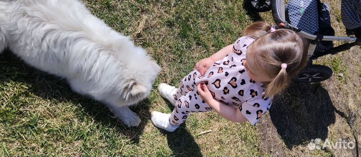 Лосины 80/86/92/98