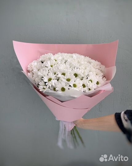 Гигант из хризантем. Доставка цветов Вологда