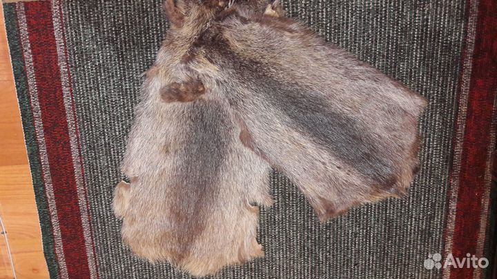 Шкурки (мех) нутрии