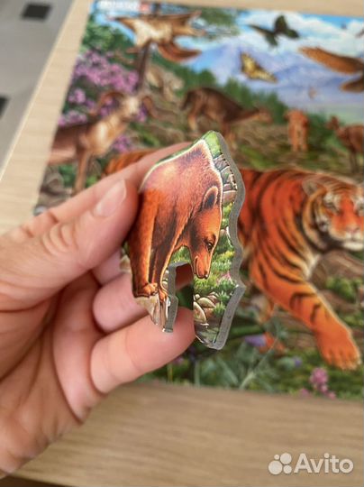 Пазлы Larsen Castorland