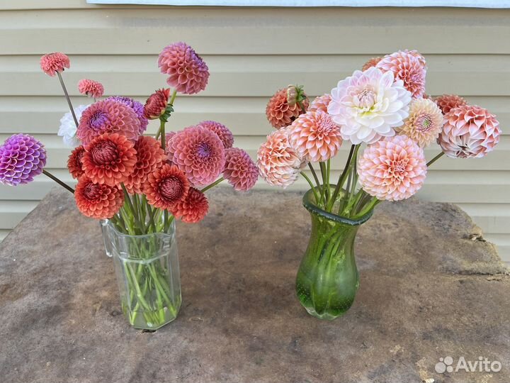 Срезы цветов