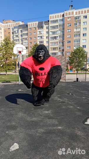 Поздравление от ростовых кукол,аниматоры