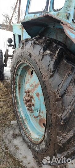 Трактор МТЗ (Беларус) 80Л, 1986