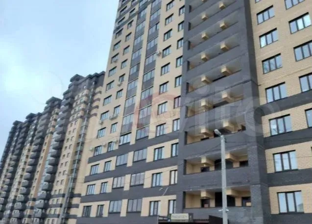 Кривошеина 13 13 фото