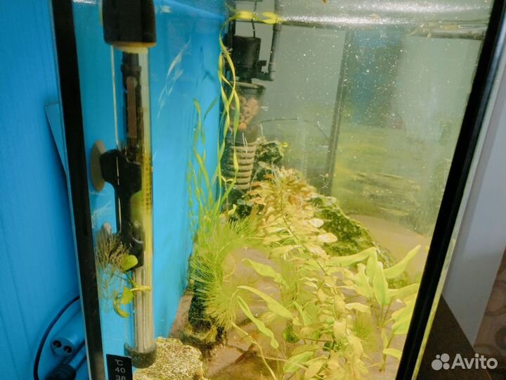 Аквариум