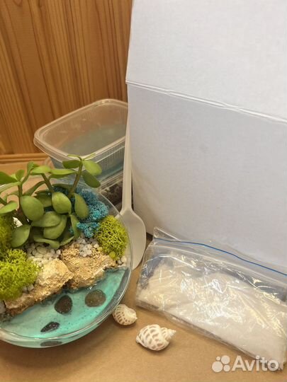 Набор для самостоятельного создания флорариума