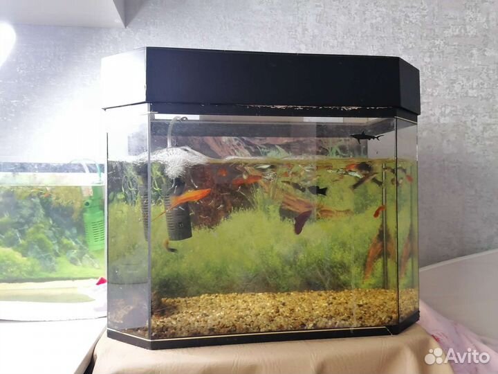 Аквариум комплект
