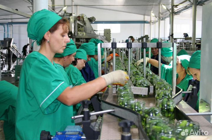 Работа вахтой в краснодарском крае