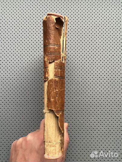 Л.Н. Толстой 