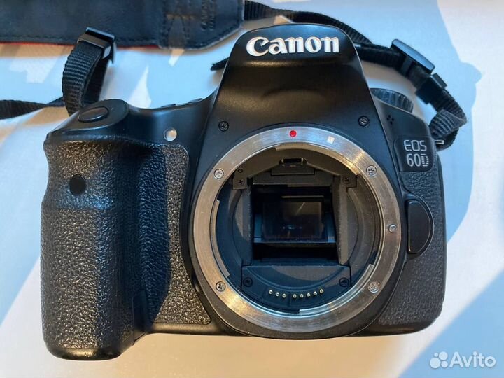 Canon 60d + Canon 24-105 f/3.5-5.6