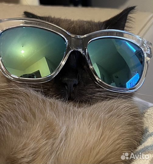 Очки Zara woman солнцезащитные в футляре