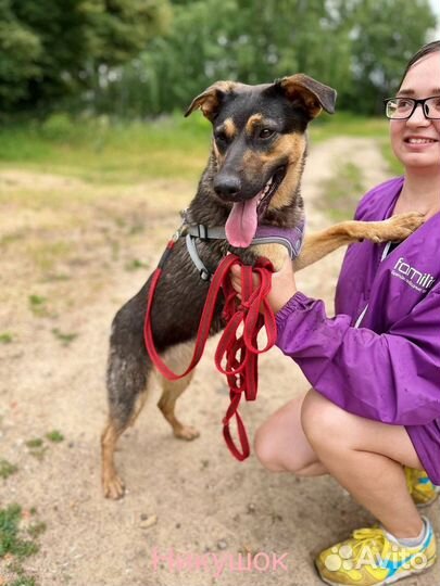 Собака в добрые руки отдам бесплатно щенок
