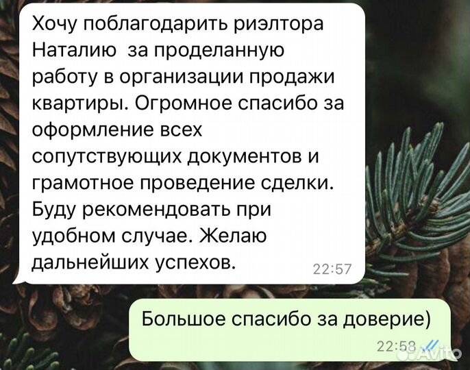 Профессиональный риэлтор - юрист