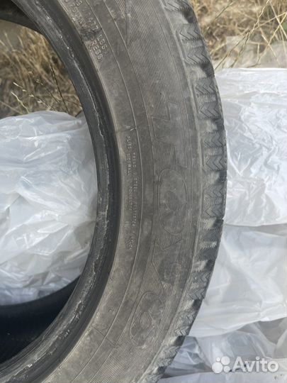 Toyo Winter Tranpath M2 205/55 R16