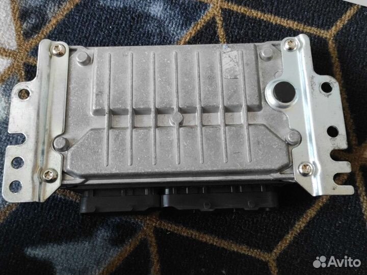 Мозги эбу на газель 40524