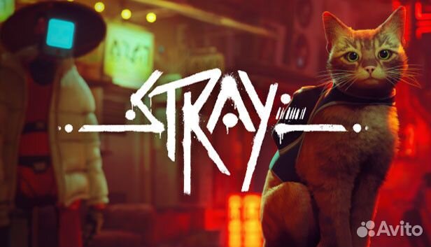 Stray PC Steam