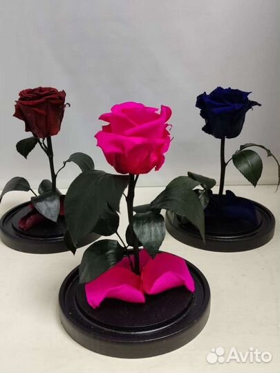 Роза в колбе оптом