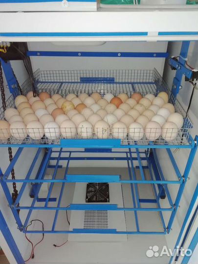 Инкубатор фермерский