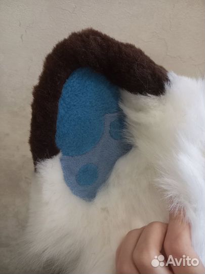 Фурсьют кота