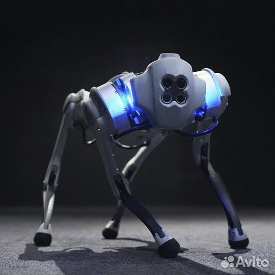 Шоу роботов Robdog