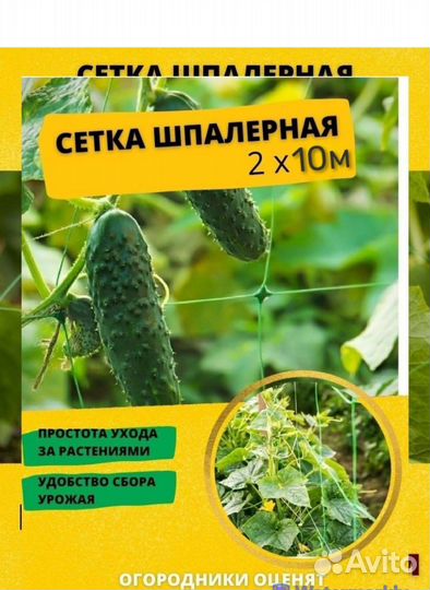 Сетка шпалерная для огурцов 15*15см 2х10м зеленая