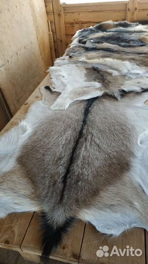 Выделка шкур коз, овец, баранов качественно