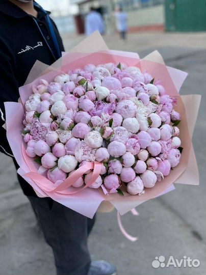 Букет из пионов цветы Доставка пионы 9 25 15