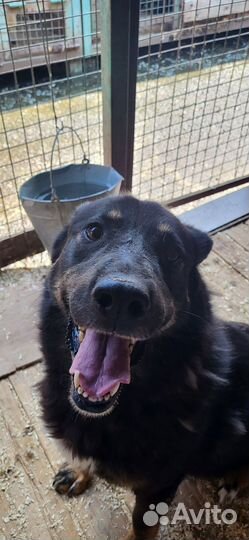 Спасите Ксану из приюта