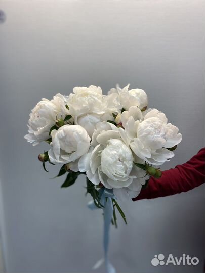 Цветы/Букет из Пионов