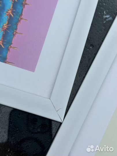 365 Постеры в рамках