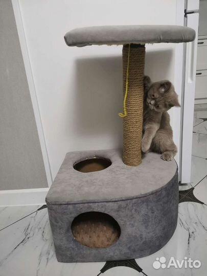 Домик для кошки с когтеточкой