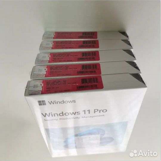 Windows 11 Pro Box