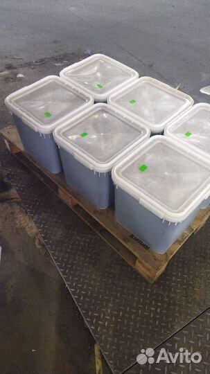 Мед гречишный монофлерный