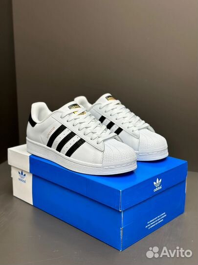 Adidas superstar