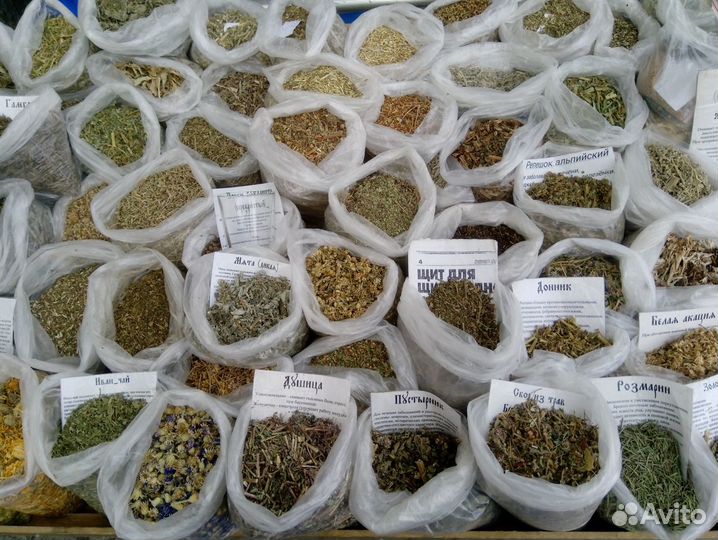 Целебные горные травы Кавказа