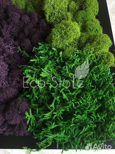 Картина из мха микс фиолетовый 30x30 см