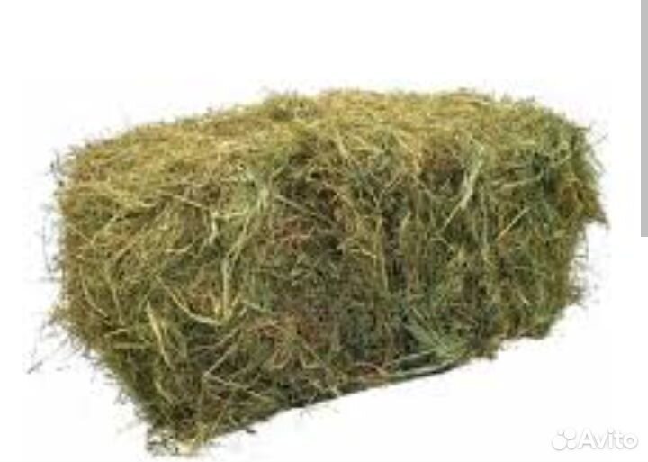 Сено в тюках